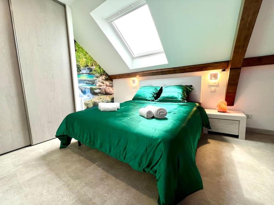 Natural Suite - Proche Gare - 4P Belfort Exterior photo